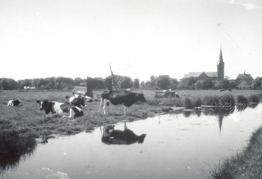 - Circa 1930: Zicht op de RK-kerk van Assendelft -